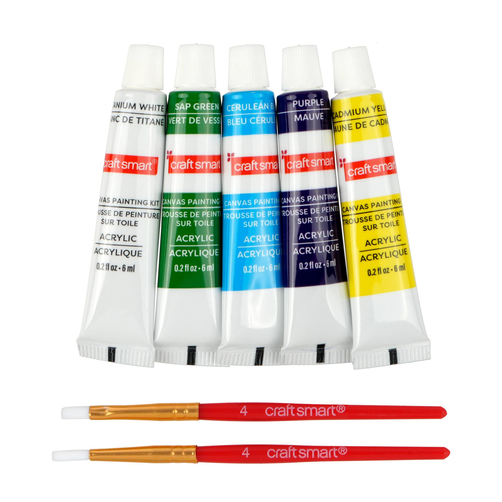 Mini Spring Moth Canvas Painting Kit by Craft Smart®